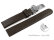 Vegan Quick Release Apple Fibre Dark Brown Watch Strap Foldover Clasp 12mm 14mm 16mm 18mm 20mm 22mm