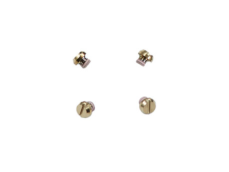 Casio set of 4 gold coloured Bezel Screws for...